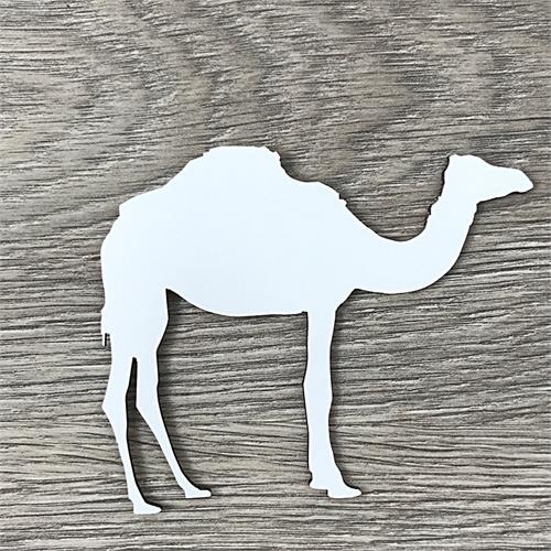 Camel