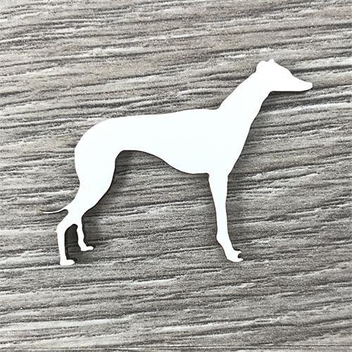 Greyhound