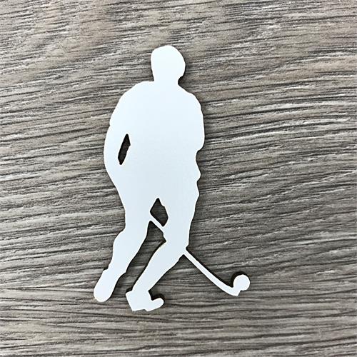 Male hockey player